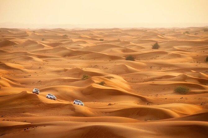 Doha: Desert Safari With Quad Bike ,Camel Ride and Sand Boarding - Quad Bike Session