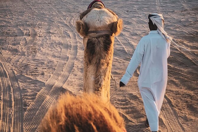 Doha-Half Day Safari With Quad Bike Atv/Camel Ride/Sandboard - Pricing and Cancellation