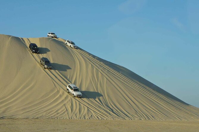 Doha Layover Desert Safari, Camel Ride, Sand Boarding, Inland Sea - Customer Reviews