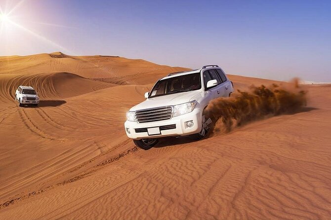 Doha Layover, Stopover,Transit (4hour Doha Private Desert Safari) - Inclusions in the Tour