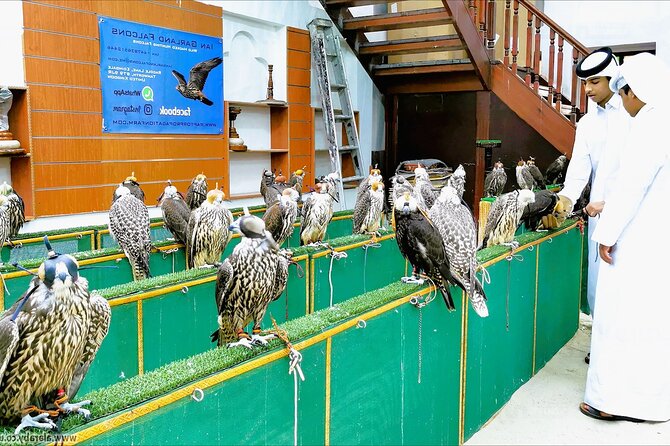 Doha Private Exclusive Transit City Tour From Hamad Airport - The Artificial Pearl Island