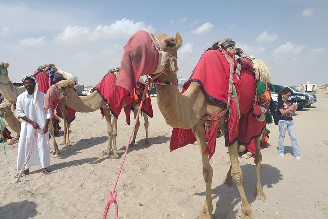 Doha Private Half Day Desert Safari All Inclusive Package - Age and Mobility Restrictions