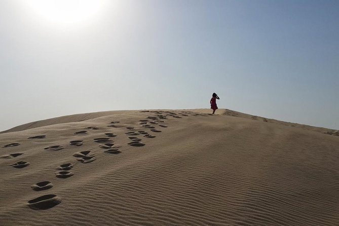 Doha Private Half Day Desert Safari All Inclusive Package - Weather Contingency