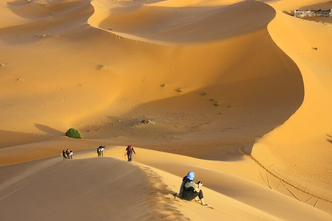 Doha Private Half-Day Guided Desert Safari Tour - Inclusions and Amenities