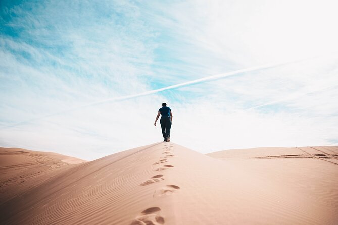 Doha Private Half-Day Guided Desert Safari Tour - Camel Ride (Additional Charges)