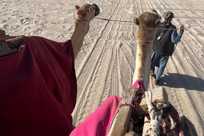Doha Qatar ATV Quad Bike Buggy Dune Bashing and Camel Ride - Safety Considerations