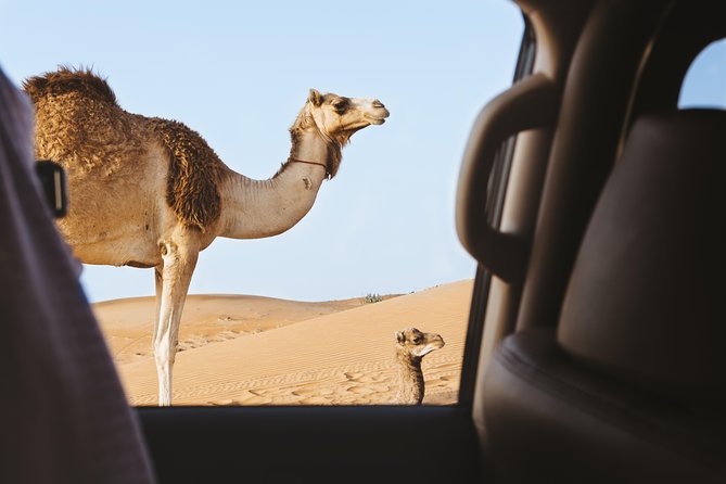 Doha Qatar Budget Desert Safari Experience - Pickup and Drop-off Locations