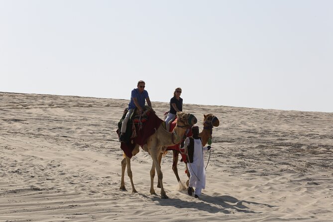 Doha; Sunrise Desert Tour and Camel Safari 4hrs - Capturing the Sunrise
