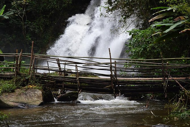 Doi Inthanon at Afternoon and Hiking - Tour Guides Expertise
