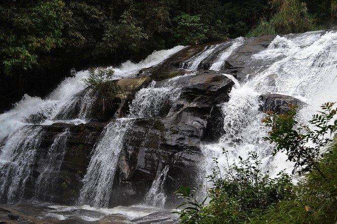Doi Inthanon at Afternoon and Hiking - Visitor Reviews and Ratings