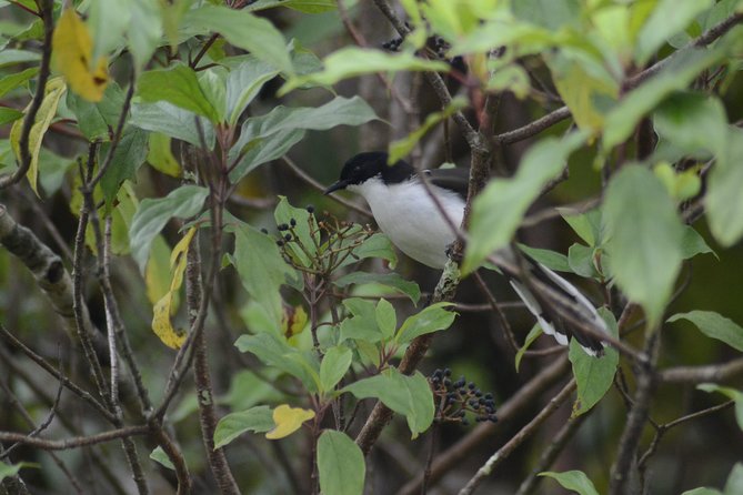 Doi Inthanon Day Tour - Additional Information