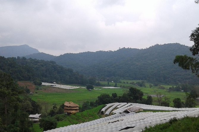 Doi Inthanon Day Tour - Booking and Cancellation