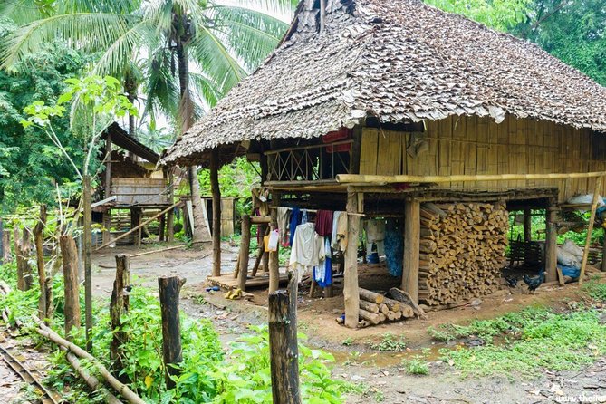 Doi Inthanon Day Trip From Chiang Mai Including Karen Hill Tribe & Twin Pagodas - Discovering the Karen Hill Tribe