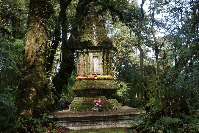Doi Inthanon Group Tour by Sawadee Lanna Review - Key Points