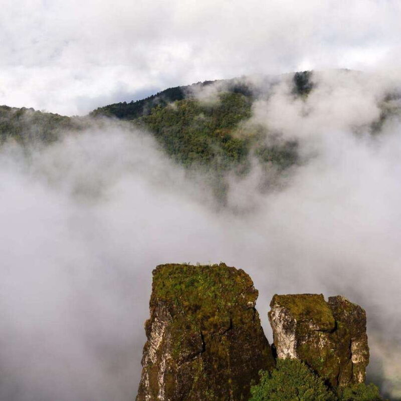 Doi Inthanon: Kew Mae Pan Viewpoint Trekking Day Tour - Key Points