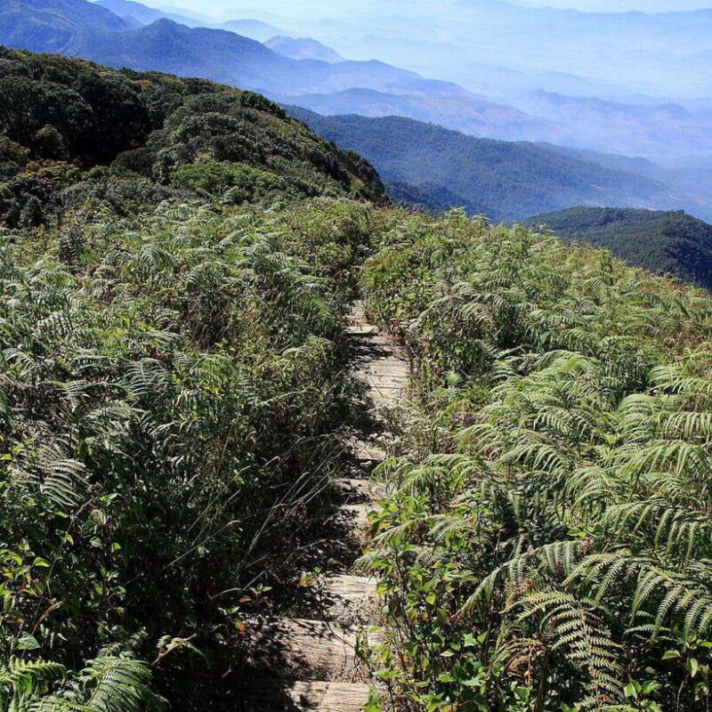 Doi Inthanon: Kew Mae Pan Viewpoint Trekking Day Tour - Inclusions