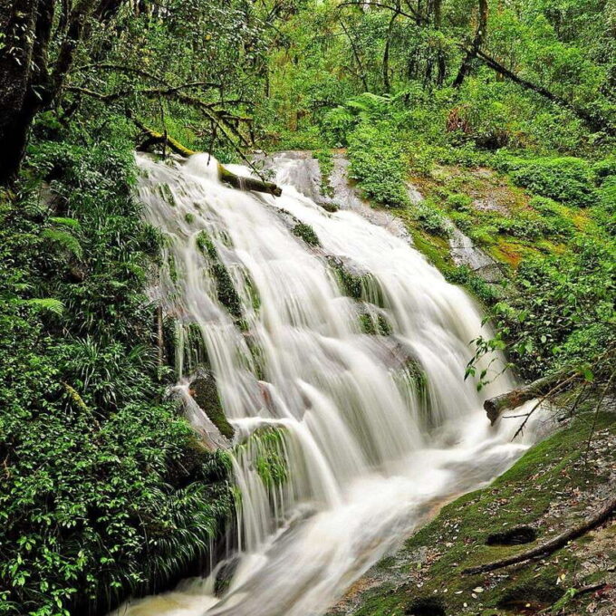 Doi Inthanon: Kew Mae Pan Viewpoint Trekking Day Tour - Frequently Asked Questions