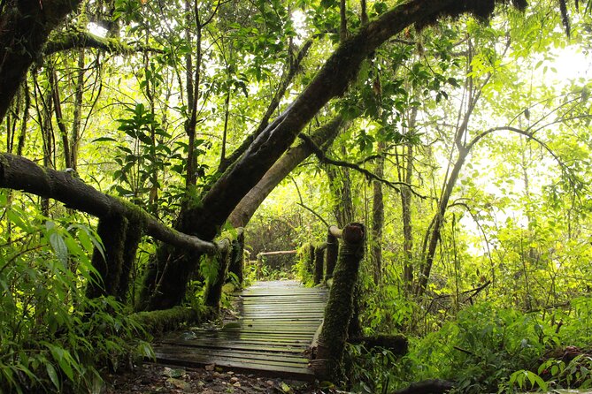 Doi Inthanon National Park and 2 Hours Hiking With Private Tour - Inclusions and Start Time