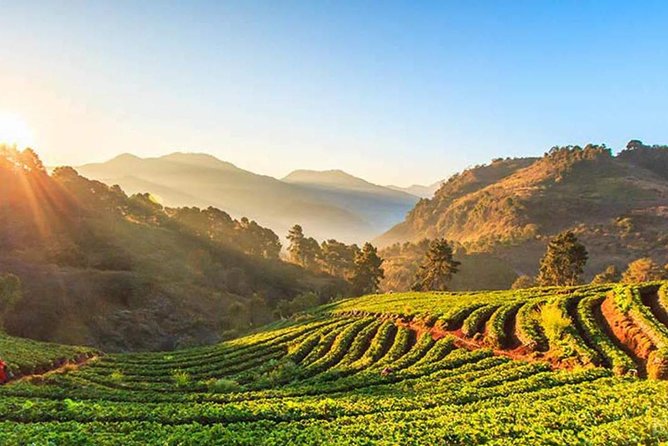 Doi Inthanon National Park Full Day Tour From Chiang Mai - Explore Thailands Highest National Park