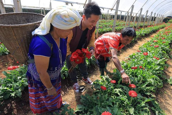 Doi Inthanon National Park Full Day Tour From Chiang Mai - Tour Logistics