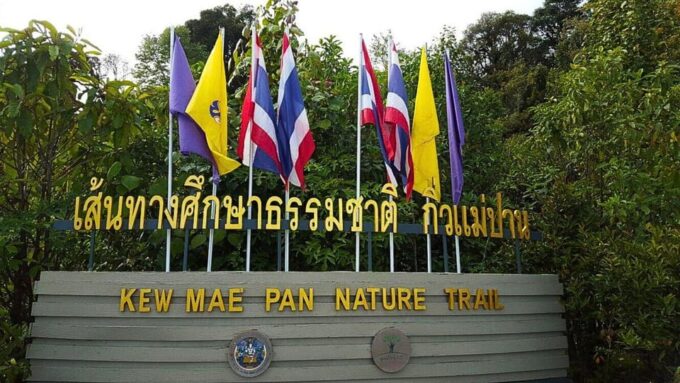 Doi Inthanon National Park: Highlights & Hike at Kew Mae Pan - Tour Availability & Inclusions