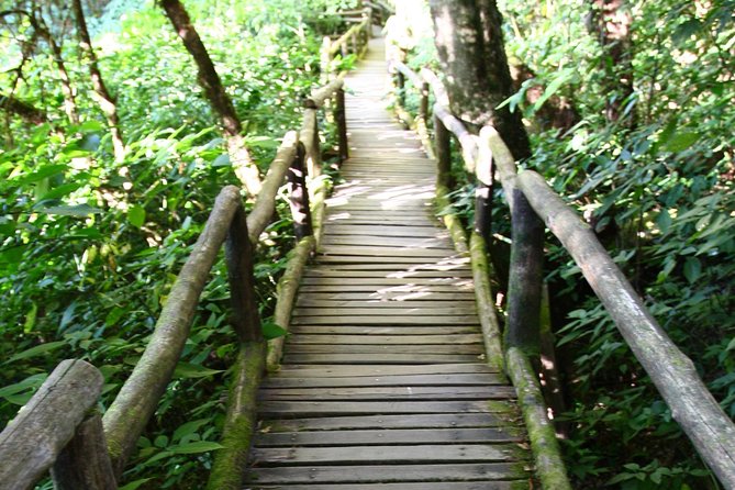 Doi Inthanon National Park Including Lunch From Chiang Mai - Inclusions and Exclusions