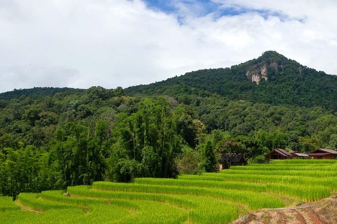 Doi Inthanon National Park & Trekking Pha Dok Siew - Accessibility and Participation