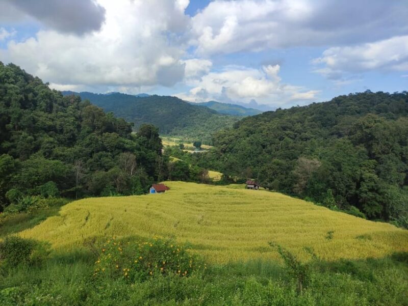 Doi Inthanon Soft Trek to Pha Dok Siew Waterfall - Exploring the Karen Tribe Village