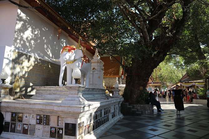 Doi Pui Sunset, Hmong Village and Suthep Temple Day Tour - Reviews and Feedback