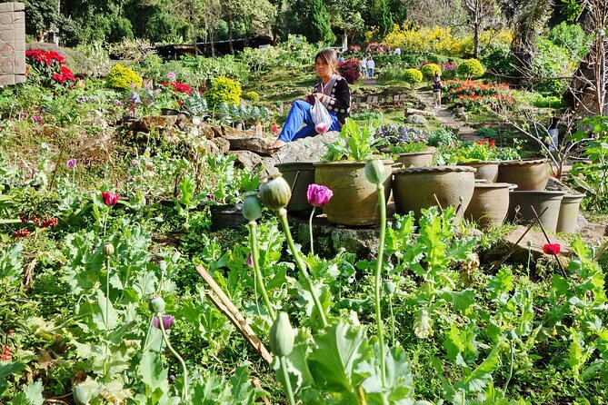 Doi Suthep and Hmong Hilltribe Half Day Tour in Chiang Mai - Related Destination Offerings