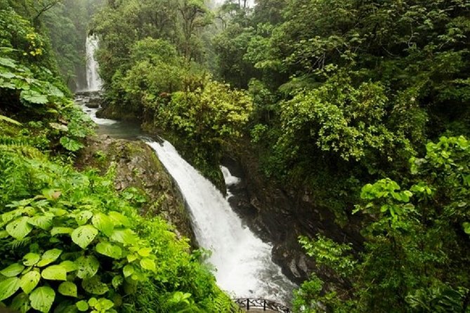 Doka Café, Poas Volcano and La Paz Waterfall Garden - Pickup and Meeting Information