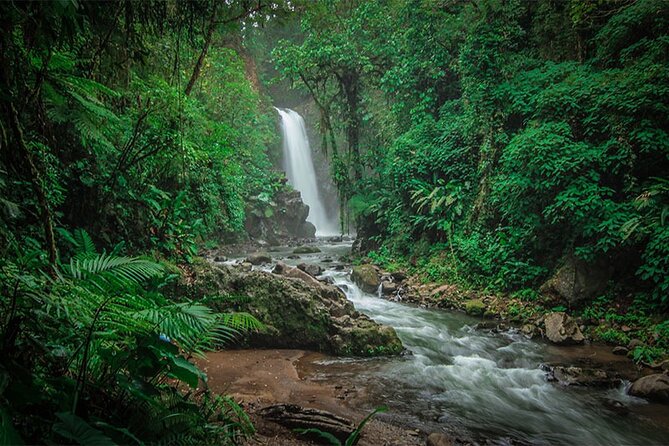 Doka Coffee Tour, Poas Volcano and La Paz Waterfall Day Trip From San Jose - Logistics