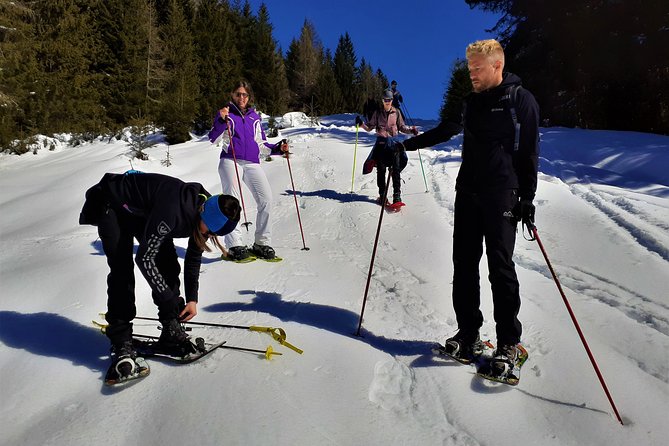 Dolomites Snowshoes Experience - Guest Reviews and Ratings