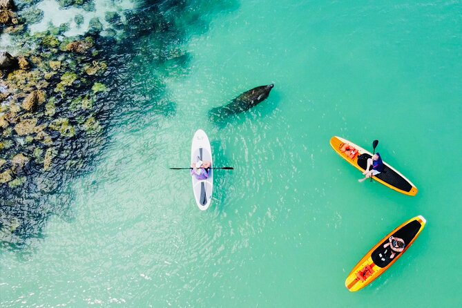 Dolphin and Manatee Adventure Tour of Fort Myers - Age Requirement and Inclusions
