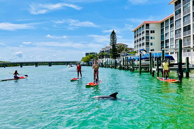 Dolphin and Manatee Adventure Tour of Fort Myers - Wildlife Exploration