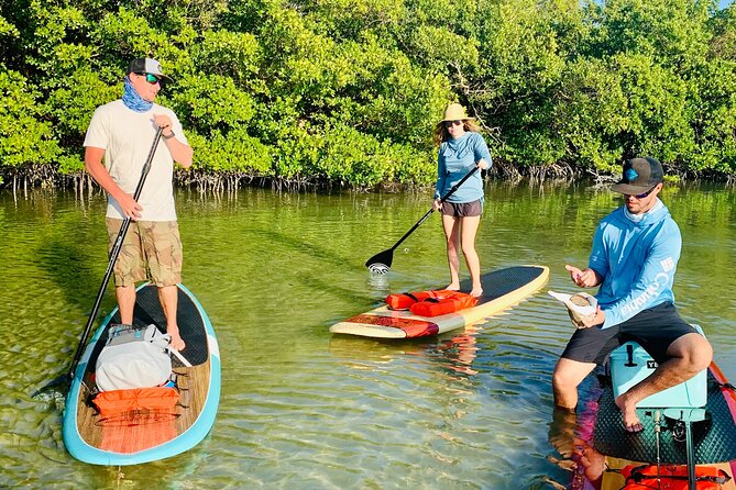 Dolphin and Manatee Adventure Tour of Fort Myers - Seashell Hunting