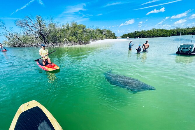 Dolphin and Manatee Adventure Tour of Fort Myers - Tour Sum Up