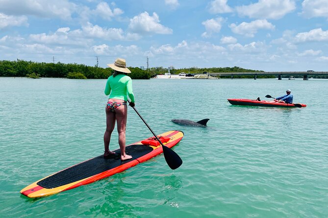 Dolphin and Manatee Adventure Tour of Fort Myers - Reviews and Ratings