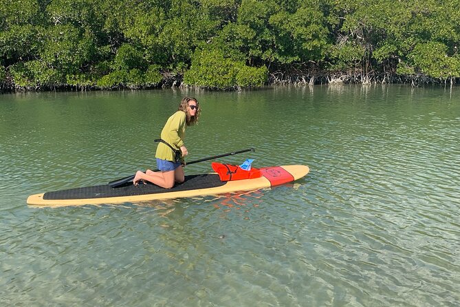 Dolphin and Manatee Adventure Tour of Naples With Florida History - Pricing and Cancellation Policy