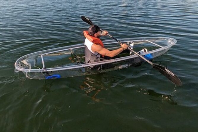 Dolphin and Manatee Clear Kayak or Paddleboard Island Hop Tour - Booking Information