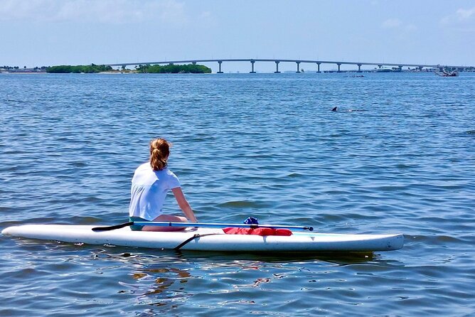 Dolphin and Manatee Clear Kayak or Paddleboard Island Hop Tour - Small-group Experience Limited