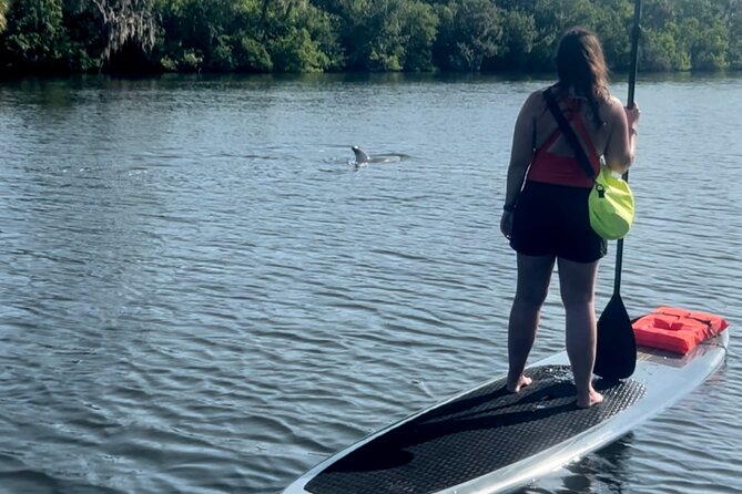 Dolphin and Manatee Kayak and SUP Adventure Tour of Cocoa Beach - Equipment and Safety Measures