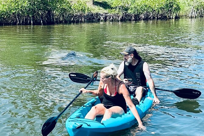 Dolphin and Manatee Kayak and SUP Adventure Tour of Cocoa Beach - Tour Details and Specifications