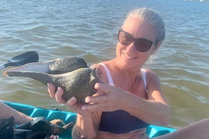 Dolphin and Manatee Kayak Tour of Daytona Beach - Tour Experience and Expectations