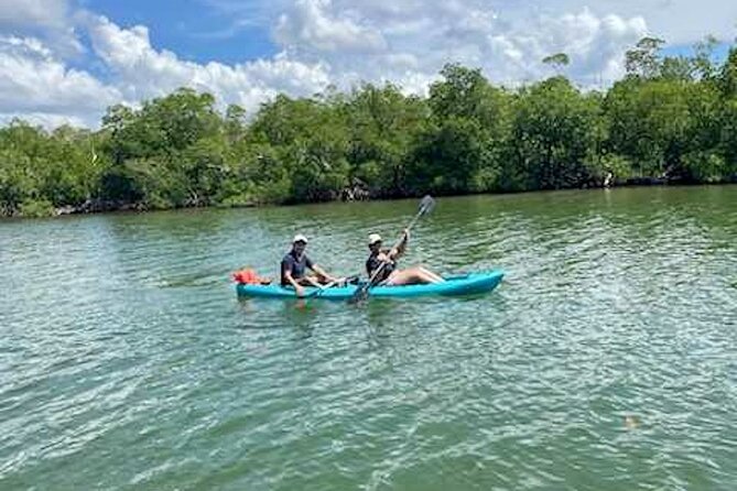 Dolphin and Manatee Kayak Tour of Daytona Beach - Guidance for Beginners and Families