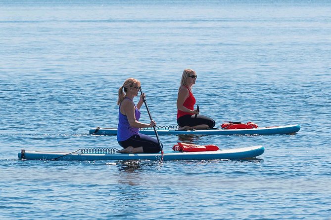 Dolphin and Manatee Stand Up Paddleboard Tour in Daytona Beach - Meeting and End Points