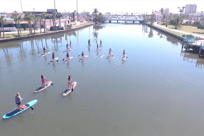 Dolphin and Manatee Stand Up Paddleboard Tour in Daytona Beach - Restrictions and Requirements