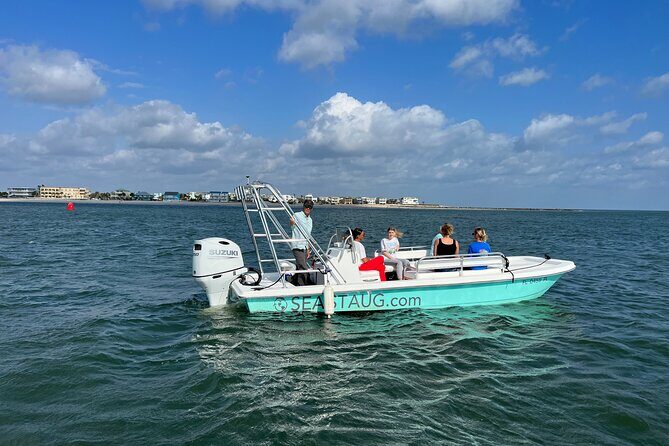 Dolphin and Nature Boat Excursion - An In-Depth Look at the Tour Experience