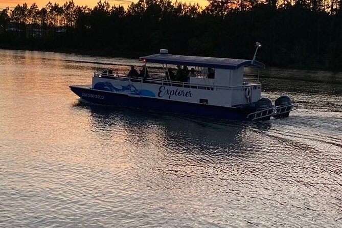 Dolphin and Nature Sunset Cruise From Orange Beach - Spotting Wildlife Along the Way
