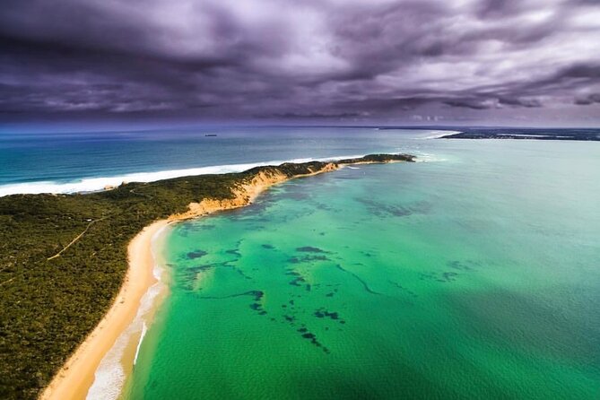 Dolphin and Seal Sightseeing Cruise on the Mornington Peninsula - Booking and Cancellation Details